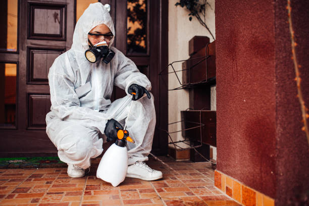 Reliable Rodent Control contractor in Lake Montezuma, AZ by Nex Pest Control